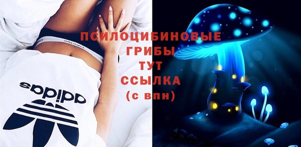 ПСИЛОЦИБИНОВЫЕ ГРИБЫ Инсар