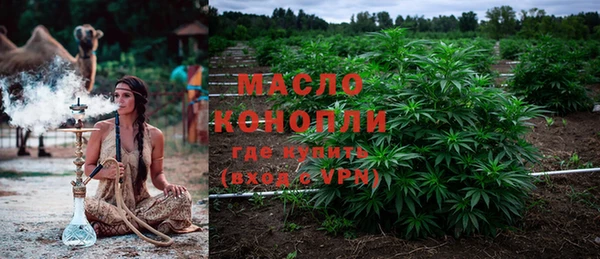 2c-b Инта