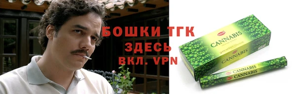 ПСИЛОЦИБИНОВЫЕ ГРИБЫ Инсар