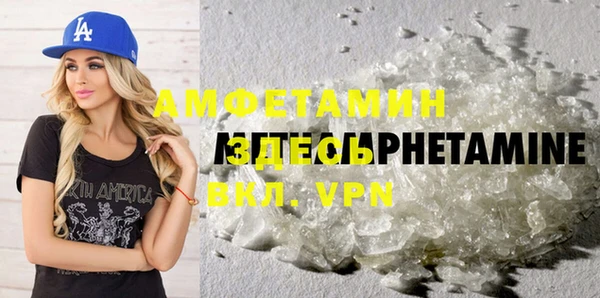 ПСИЛОЦИБИНОВЫЕ ГРИБЫ Инсар