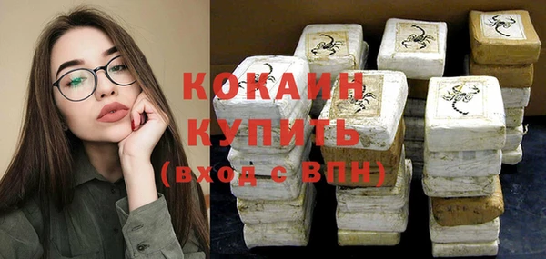 ПСИЛОЦИБИНОВЫЕ ГРИБЫ Инсар