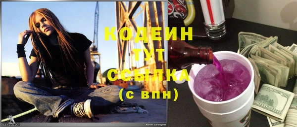 2c-b Инта