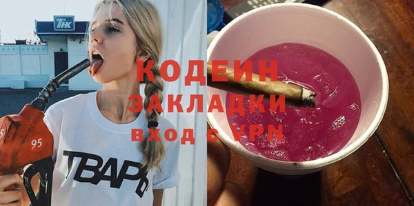 ПСИЛОЦИБИНОВЫЕ ГРИБЫ Инсар