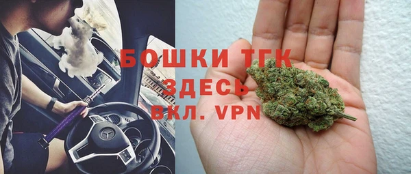 2c-b Инта