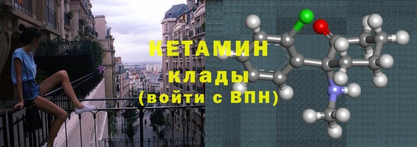 ПСИЛОЦИБИНОВЫЕ ГРИБЫ Инсар