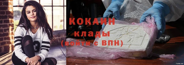2c-b Инта